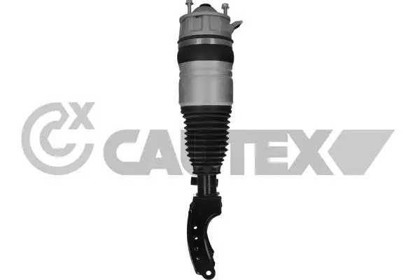 Air Suspension Strut (752046)