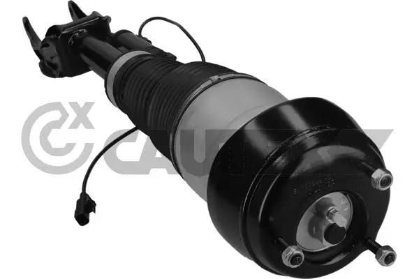 Air Suspension Strut (752026)