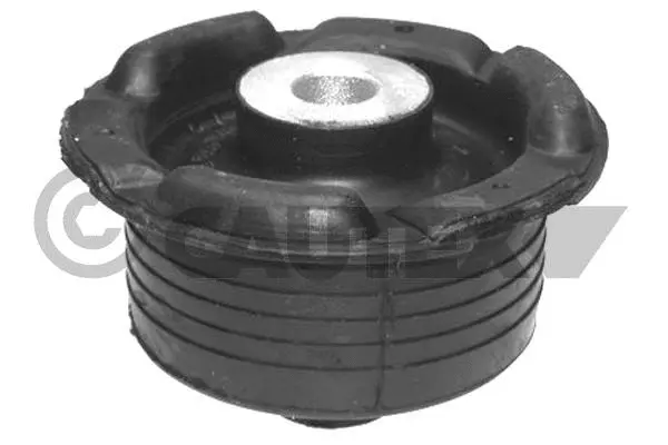 Bushing, axle beam (480886)