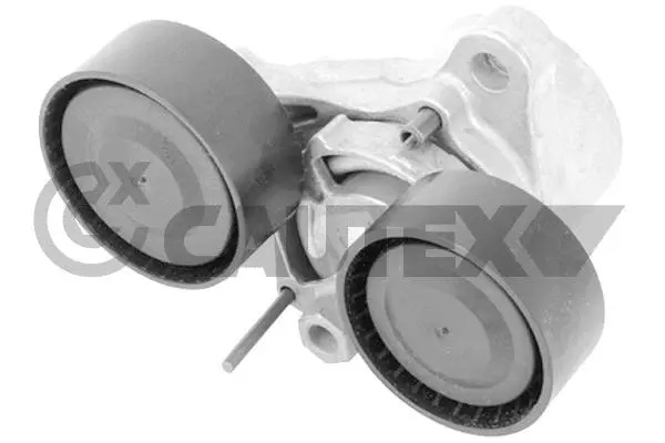 Repair Kit, v-ribbed belt tensioner (769710)