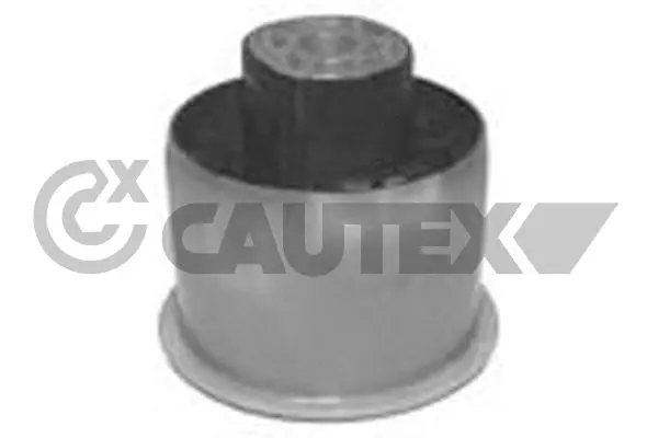 Bushing, axle beam (755682)