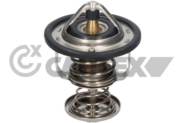 Thermostat, coolant (772472)