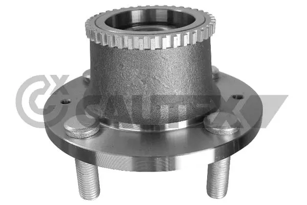 Wheel Hub (771747)