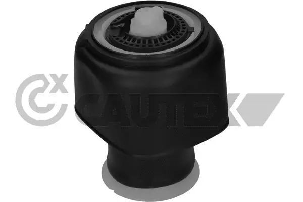 Air Spring, suspension (753277)