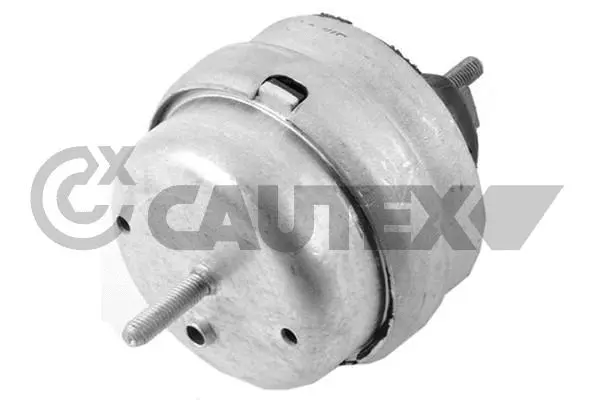 Mounting, engine (461135)