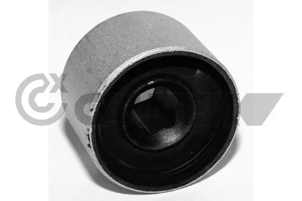 Mounting, control/trailing arm (461282)