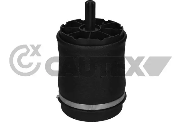 Air Spring, suspension (753021)