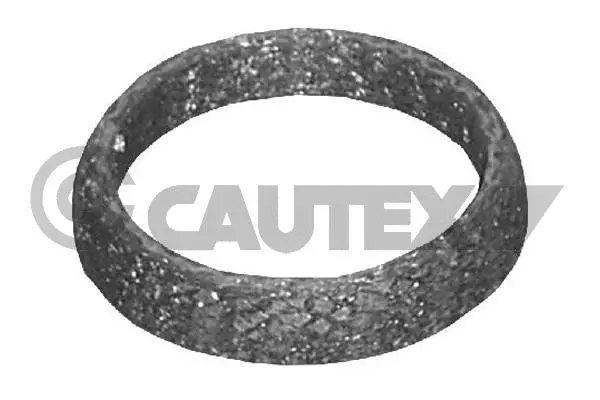 Seal Ring, exhaust pipe (954200)