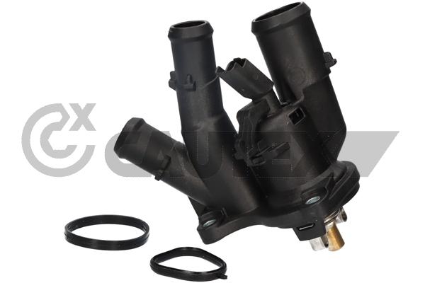 Thermostat, coolant (750828)