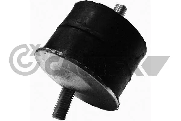 Mounting, engine (020300)