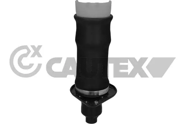 Air Spring, suspension (753508)