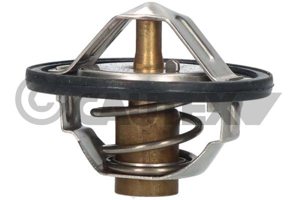 Thermostat, coolant (756887)