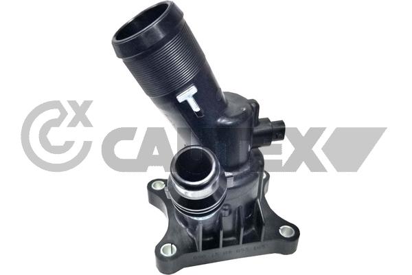 Thermostat, coolant (760710)