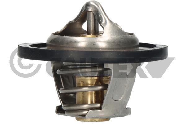 Thermostat, coolant (756881)