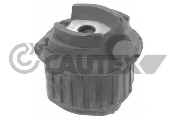 Bushing, axle beam (755703)