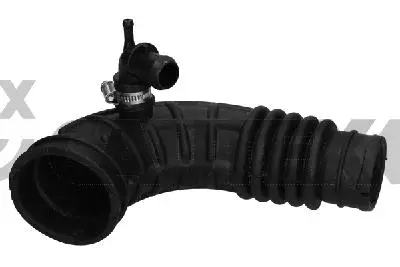 Intake Hose, air filter (754421)