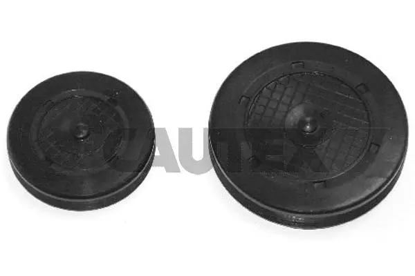 Plug, rocker arm shaft mounting bore (020545)