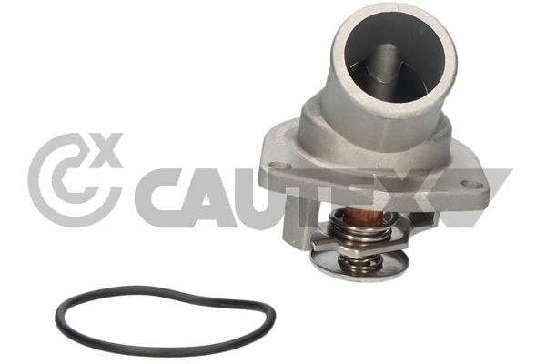 Thermostat, coolant (756737)