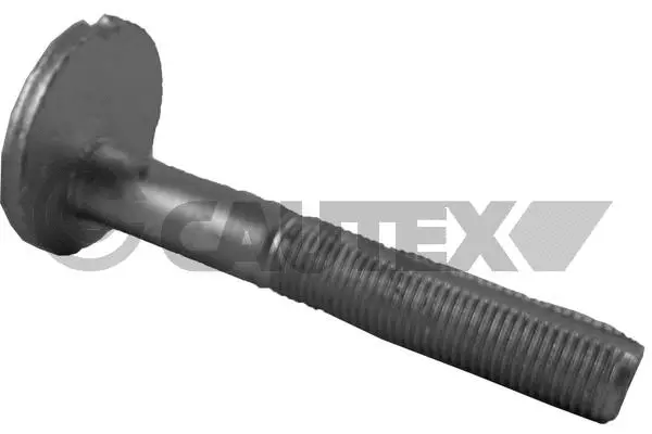 Camber Correction Screw (758463)