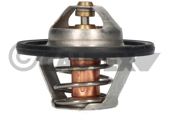 Thermostat, coolant (756862)