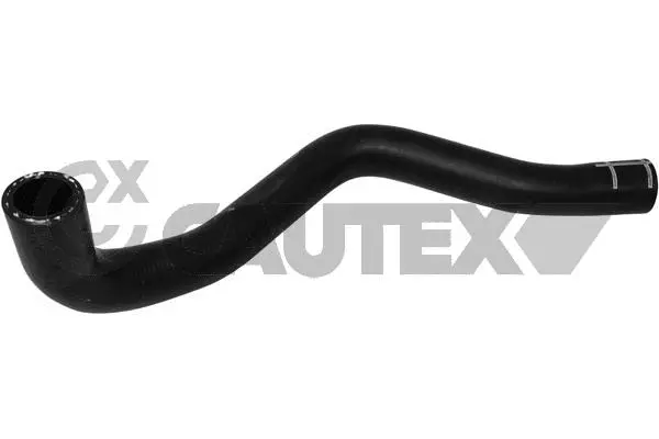 Radiator Hose (765134)