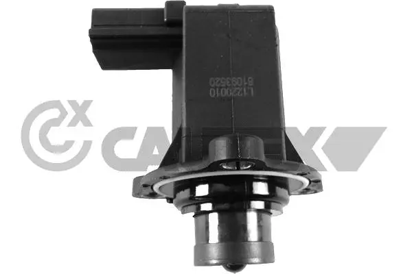 Recirculating Air Valve, charger (769995)