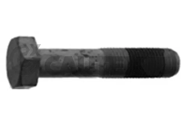 Pulley Bolt (757043)