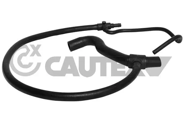 Radiator Hose (770904)