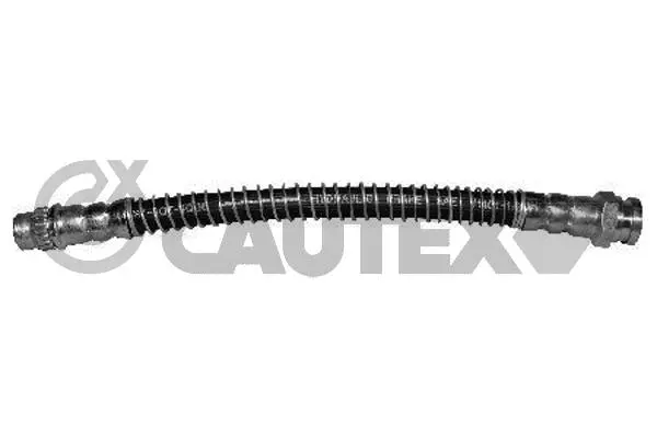 Brake Hose (031273)