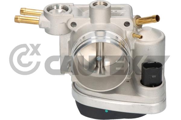 Throttle Body (768832)