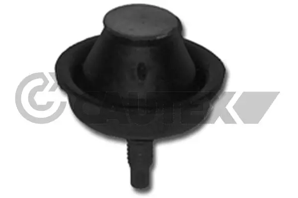 Mounting, engine (030302)