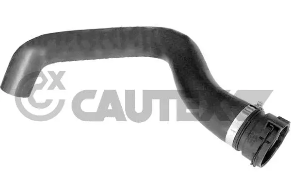 Radiator Hose (766974)