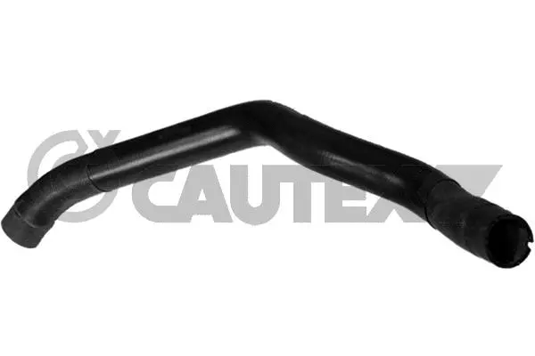 Radiator Hose (770479)