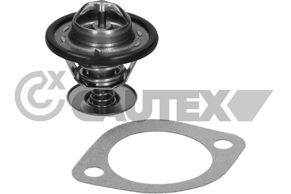 Thermostat, coolant (775408)