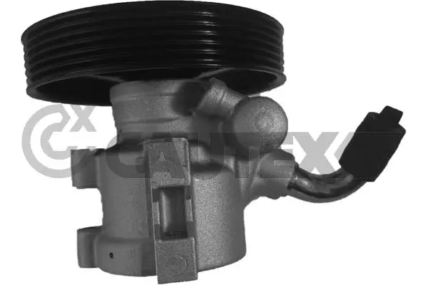Hydraulic Pump, steering (768312)
