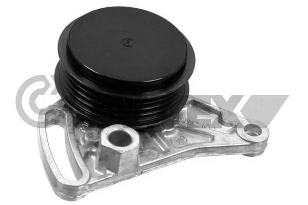 Tensioner Pulley, V-ribbed belt (460982)