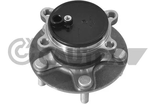 Wheel Hub (769427)