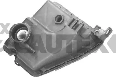 Expansion Tank, coolant (031131)