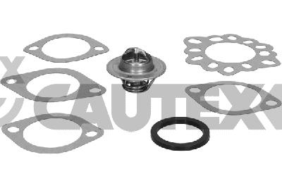 Thermostat, coolant (775902)