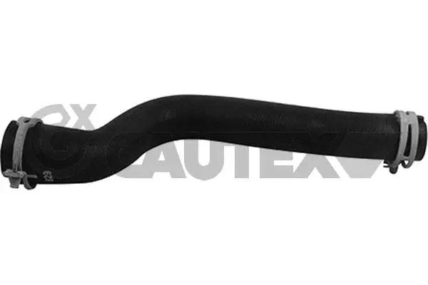 Radiator Hose (753834)