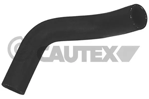Radiator Hose (026818)