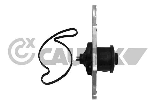 Water Pump, engine cooling (768768)