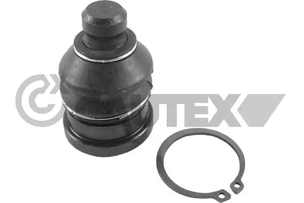 Ball Joint (758944)