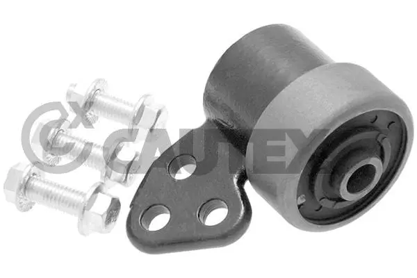Mounting, control/trailing arm (480883)