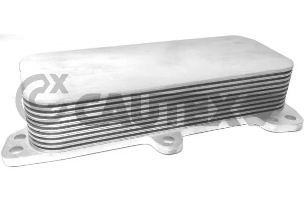 Oil Cooler, engine oil (462517)