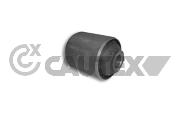 Mounting, control/trailing arm (250006)