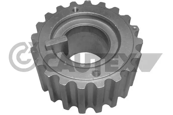 Sprocket, crankshaft (021306)