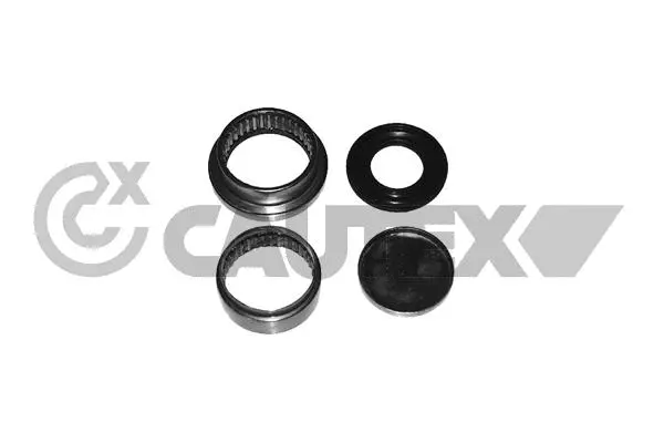 Repair Kit, axle beam (031436)