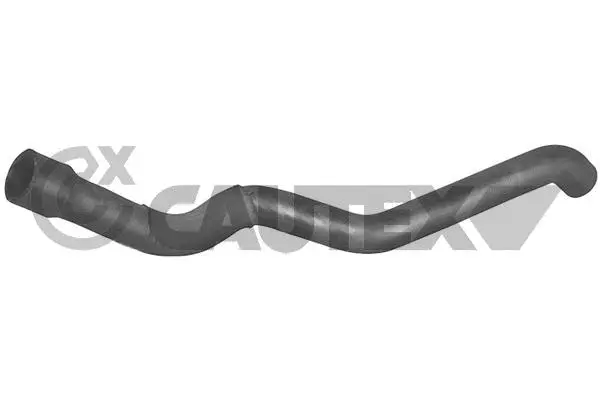 Radiator Hose (753646)