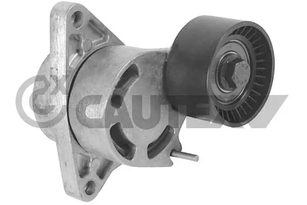Tensioner Lever, V-ribbed belt (769604)